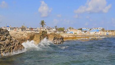 2/25: US News Hub Evening News – US News Hub News 2/25: US News Hub Evening News – US News Hub News