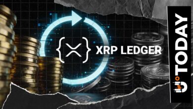 XRP Ledger Devnet Reboot Scheduled for March 3 as Devs Prepare for Update
