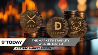 Crypto Market Review: XRP Volatility Squeeze is a  Recipe, Will Dogecoin (DOGE) Zero Removal Happen in February? Shiba Inu (SHIB) Bullruns Aren’t Possible Yet