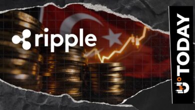 Ripple ‘Extremely Bullish’ on Turkey, Exec Says Ripple ‘Extremely Bullish’ on Turkey, Exec Says