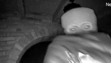 The FBI has gathered thousands of hours of video in Nancy Guthrie investigation, official says The FBI has gathered thousands of hours of video in Nancy Guthrie investigation, official says