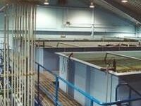 Water study could delay commercial construction