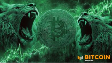 Bitcoin Price Surges 8% To ,000 As Crypto Market Rallies Bitcoin Price Surges 8% To ,000 As Crypto Market Rallies