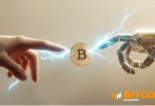 Quantum Scare Or Capital Rotation?