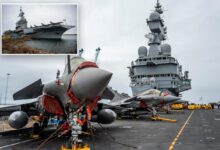 Sweden intercepts suspected Russian drone during visit by French aircraft carrier