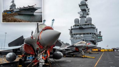 Sweden intercepts suspected Russian drone during visit by French aircraft carrier