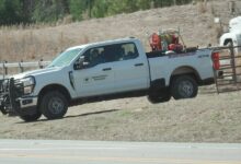 Firefighters, Alabama Forestry crews battle wildfires during dry, windy conditions