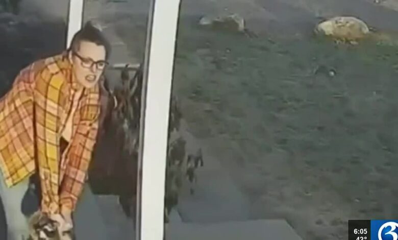 Mother in Ashford fends off raccoon that attacked her daughter