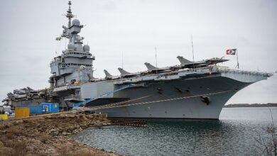 Swedish forces jam suspected Russian drone near French aircraft carrier