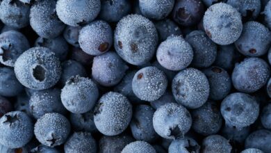 Oregon company recalls frozen blueberries over possible Listeria contamination