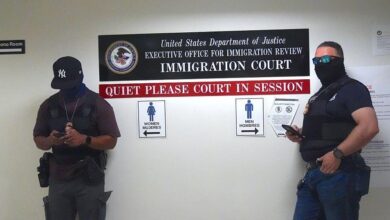 ICE arrested 261 DACA recipients over 10 months last year, document shows ICE arrested 261 DACA recipients over 10 months last year, document shows