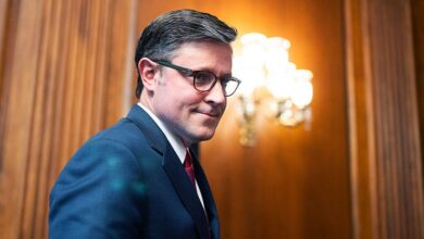 House Speaker Mike Johnson calls for “patience” on economy: “You don’t flip a switch…and it all just is fixed magically”