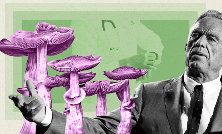 The psychedelic medicine revolution that wasn’t