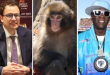 Forget the State of the Union. What’s the state of your quiz score? : NPR