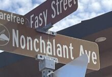 Voters in congressional battleground discuss midterm vote