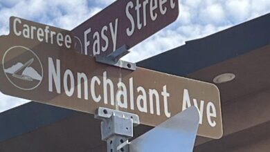 Voters in congressional battleground discuss midterm vote