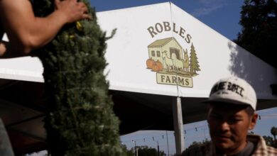 A very American story of immigration, Christmas trees and Los Angeles