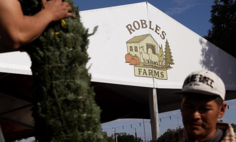 A very American story of immigration, Christmas trees and Los Angeles