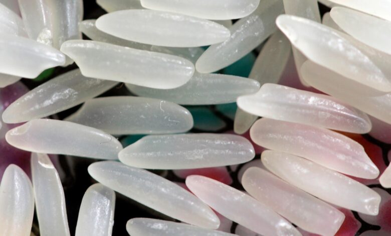 If you’re struggling to lose weight, could chilling your carbs help? If you’re struggling to lose weight, could chilling your carbs help?