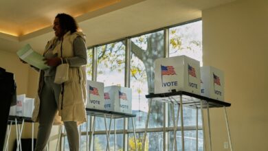 Republican voter ID bill stalls in Senate despite Trump demands Republican voter ID bill stalls in Senate despite Trump demands