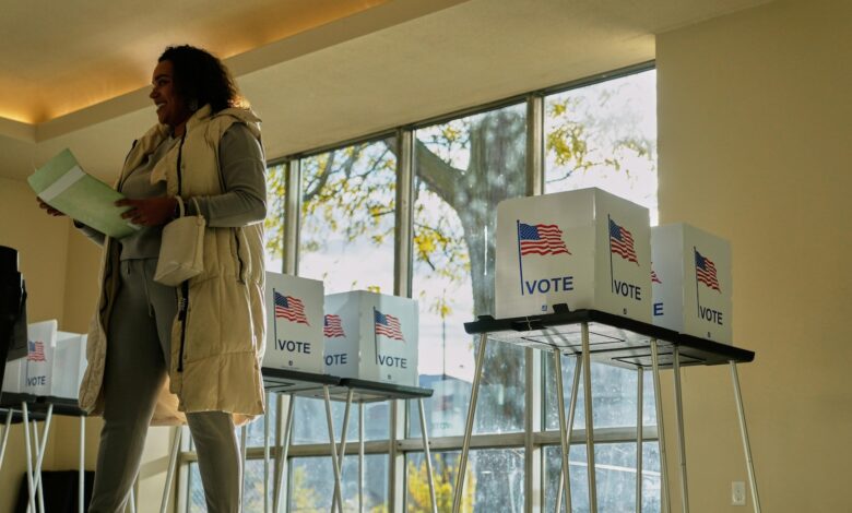 Republican voter ID bill stalls in Senate despite Trump demands Republican voter ID bill stalls in Senate despite Trump demands