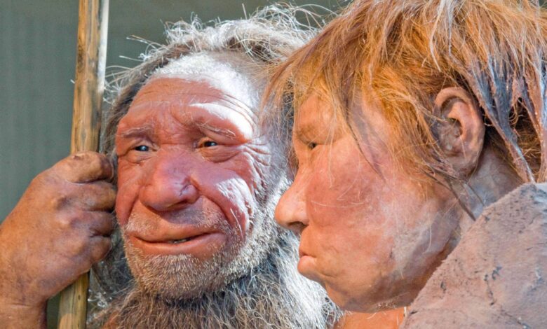 Genetic analysis reveals new details on ancient human and Neanderthal couplings Genetic analysis reveals new details on ancient human and Neanderthal couplings