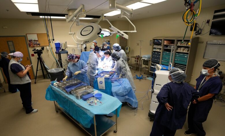 More organs are being donated after the heart stops, not brain death. Policies are changing too