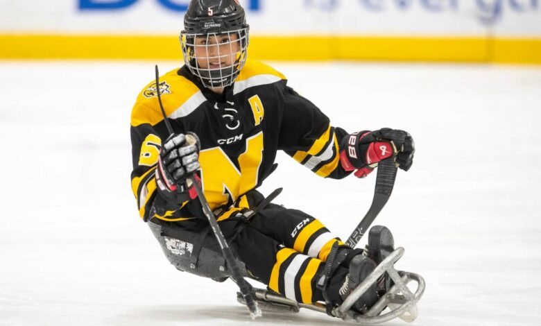 ‘If you can see it, you can be it’ – US News Hub MISRYOUM