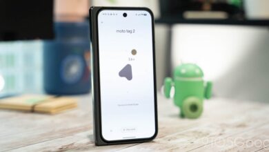 Find Hub for Android removes biometric login