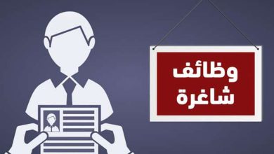 4 وظائف شاغرة برواتب مجزية وتأمينات.. اعرف التخصصات ورابط التقديم – أي خدمة