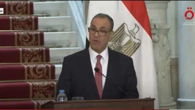 وزير الخارجية: وقف العدوان الإسرائيلي على غزة ولبنان كفيل بمنع التصعيد في المنطقة – أخبار مصر