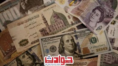 تراجع لسعر الدولار في البنوك المصرية اليوم، الثلاثاء 29 أكتوبر 2024 | قضايا الساعة