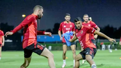 «الدوري ضرب نار».. 173 صفقة جديدة ولـ سيراميكا وبتروجت «النصيب الأكبر» – رياضة