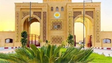 غدا.. بدء ماراثون انتخابات الاتحادات الطلابية في جامعة الوادي الجديد