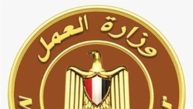 تفاصيل مبادرات وزارة العمل لتدريب العاملين وتأهيلهم