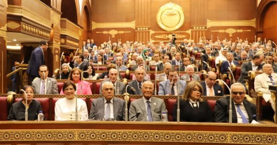 قانون قواعد التصرف فى أملاك الدولة أمام “الشيوخ” الأحد