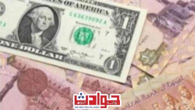 ارتفاع سعر الدولار اليوم في مصر الخميس 7 نوفمبر 2024: في البنوك والسوق السوداء | قضايا الساعة