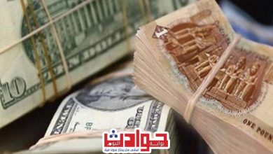 تراجع سعر الدولار في البنوك المصرية – تعرف علي الأسباب | مصر اليوم