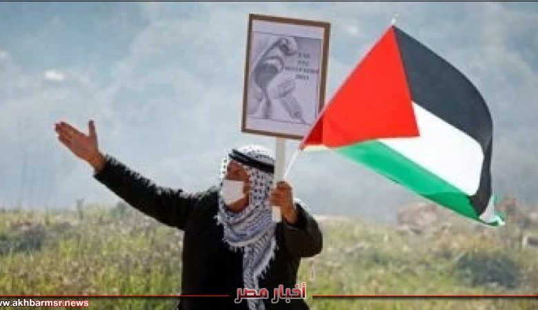 إسرائيل تقر مشروع قانون يحظر رفع العلم الفلسطيني على مؤسسات تمولها تل أبيب | الأخبار