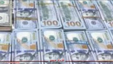 أخفيا 50 مليون جنيه في السيارات والعقارات.. تجديد حبس متهمين بمزاولة نشاط غير مشروع | الاقتصاد