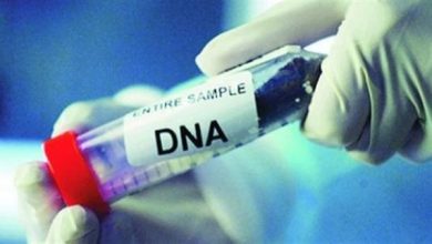 تدير صفحة طبية للنصب والاحتيال على للمواطنين.. مصدر يكشف تفاصيل جديدة عن سيدة تحاليل DNA بكفر الشيخ