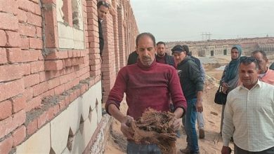 القبض على المتهمين بالنصب على المواطنين ببيع المقابر في القليوبية