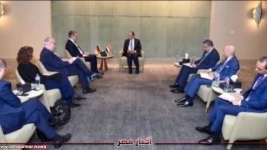 وزير الخارجية: ألمانيا أحد أكبر شركاء مصر في المجالين الاقتصادي والتنموي | الأخبار