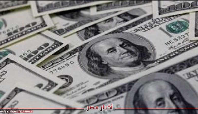 سعر الدولار اليوم السبت 7-12-2024.. يستقر فوق 50 جنيهًا | الاقتصاد