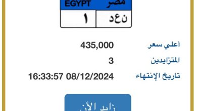 المرور يطرح لوحة مميزة للسيارات بـ 435 ألف جنيه