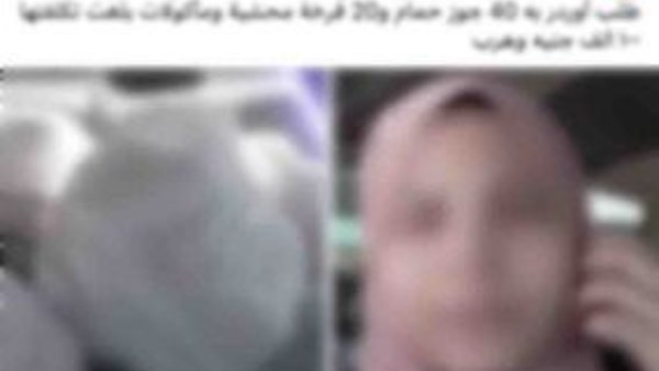 النصب بلحوم الطيور.. ضبط شخصين حاولا الاحتيال على سيدة بزعم التوريد لفندق شهير بالمعادى 1 1742708862492202507190132303230