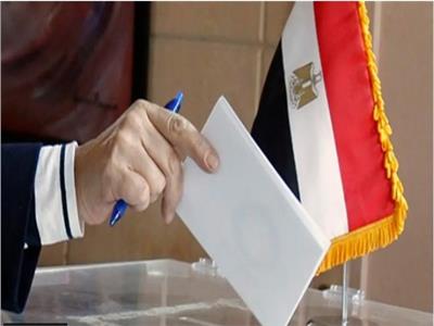 انتخابات مجلس الشيوخ .. تقدم 19 مرشحا لخوض الانتخابات في البحيرة 1 1751916345 552
