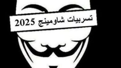 1752855902 721