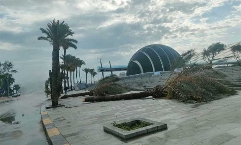 «الطقس× أسبوع».. حار رطب إلى شديد الحرارة يصاحبه شبورة مائية ورياح نشطة في المحافظات 1 2691666 0
