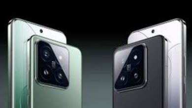 6112092248255202507131215271527